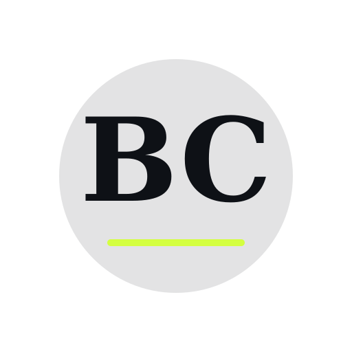 Braun Chimney Repair logo